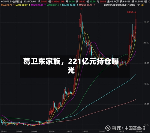 葛卫东家族，221亿元持仓曝光-第2张图片
