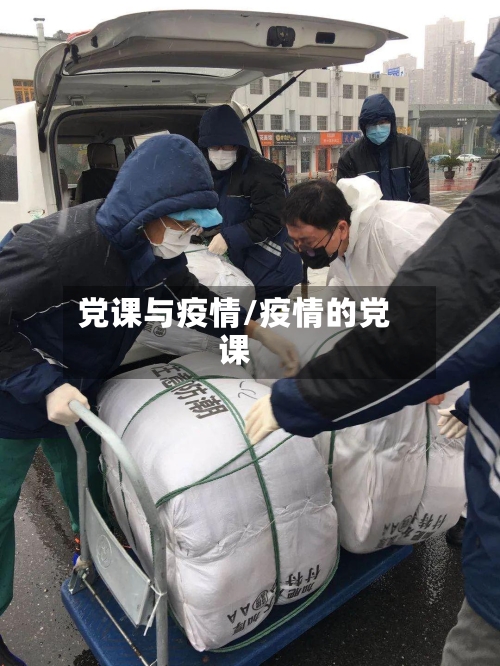 党课与疫情/疫情的党课-第2张图片