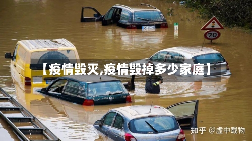 【疫情毁灭,疫情毁掉多少家庭】-第2张图片