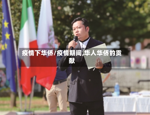 疫情下华侨/疫情期间,华人华侨的贡献-第3张图片