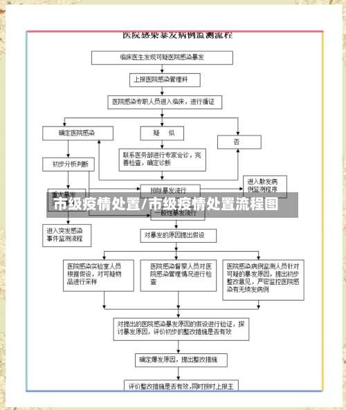 市级疫情处置/市级疫情处置流程图-第3张图片