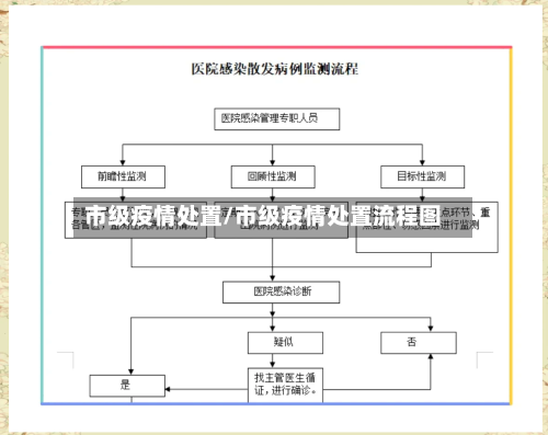 市级疫情处置/市级疫情处置流程图