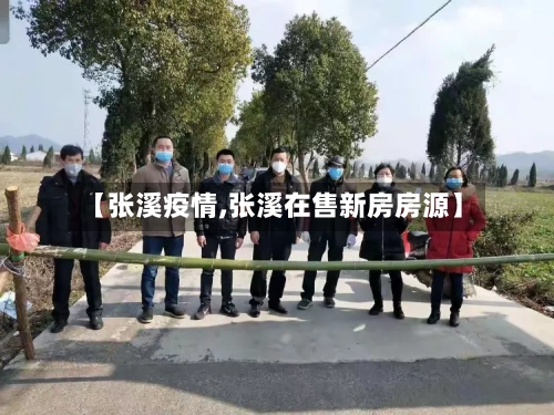 【张溪疫情,张溪在售新房房源】