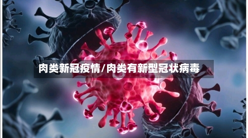 肉类新冠疫情/肉类有新型冠状病毒-第2张图片