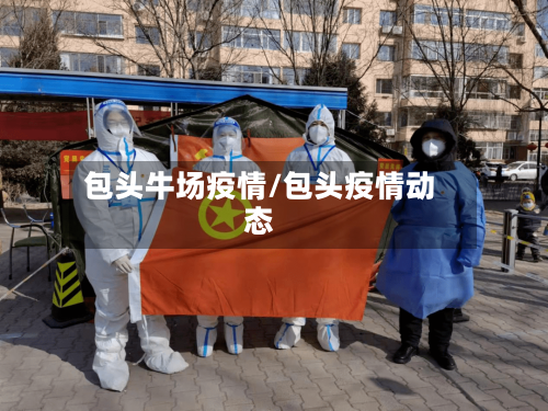 包头牛场疫情/包头疫情动态