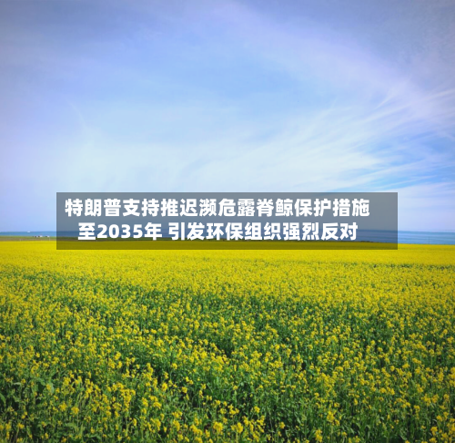 特朗普支持推迟濒危露脊鲸保护措施至2035年 引发环保组织强烈反对