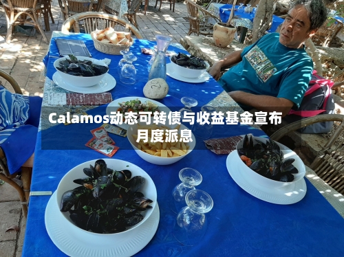 Calamos动态可转债与收益基金宣布月度派息-第2张图片