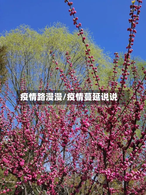 疫情路漫漫/疫情蔓延说说-第3张图片