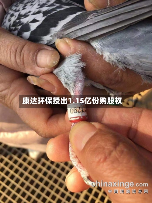 康达环保授出1.15亿份购股权