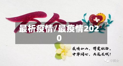 最析疫情/最疫情2020-第3张图片