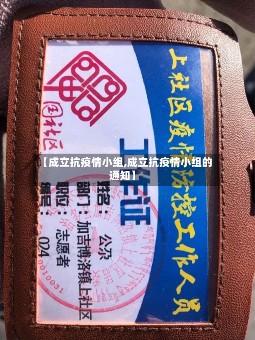 【成立抗疫情小组,成立抗疫情小组的通知】