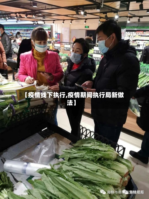 【疫情线下执行,疫情期间执行局新做法】-第2张图片