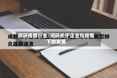 调研疫情行业/调研关于企业在疫情下的发展