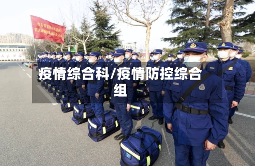 疫情综合科/疫情防控综合组-第2张图片