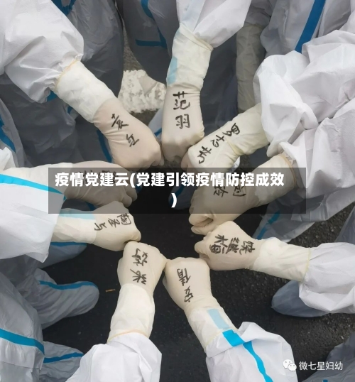 疫情党建云(党建引领疫情防控成效)