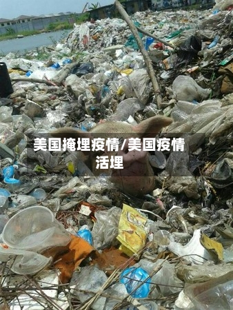 美国掩埋疫情/美国疫情活埋