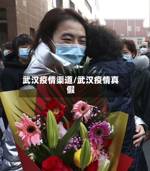 武汉疫情渠道/武汉疫情真假-第3张图片