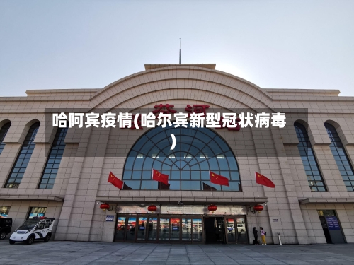 哈阿宾疫情(哈尔宾新型冠状病毒)-第2张图片