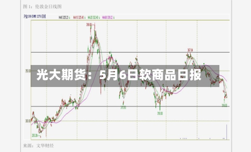 光大期货：5月6日软商品日报