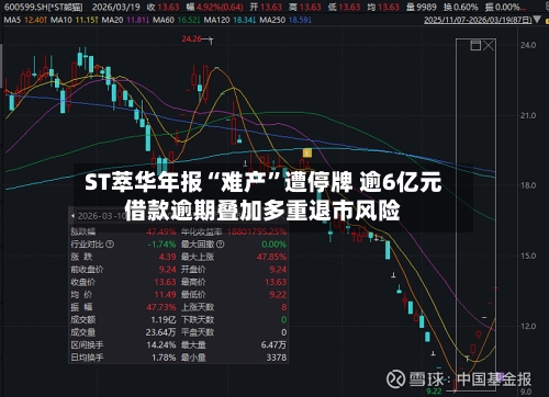 ST萃华年报“难产”遭停牌 逾6亿元借款逾期叠加多重退市风险-第3张图片