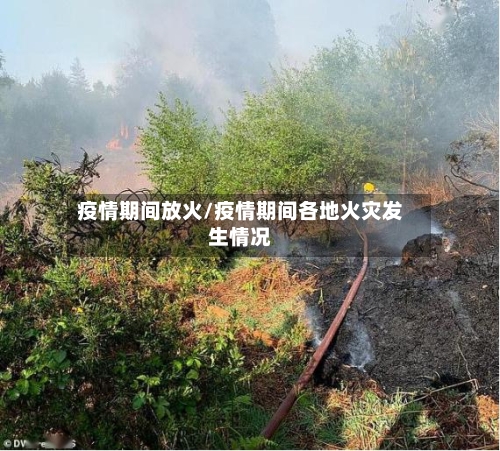 疫情期间放火/疫情期间各地火灾发生情况