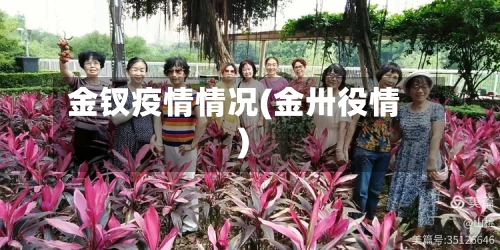 金钗疫情情况(金卅役情)-第3张图片