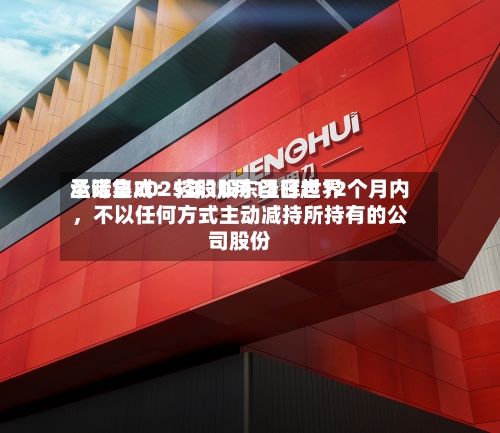 圣晖集成：控股股东圣晖世界承诺自2025年10月13日起12个月内，不以任何方式主动减持所持有的公司股份-第3张图片